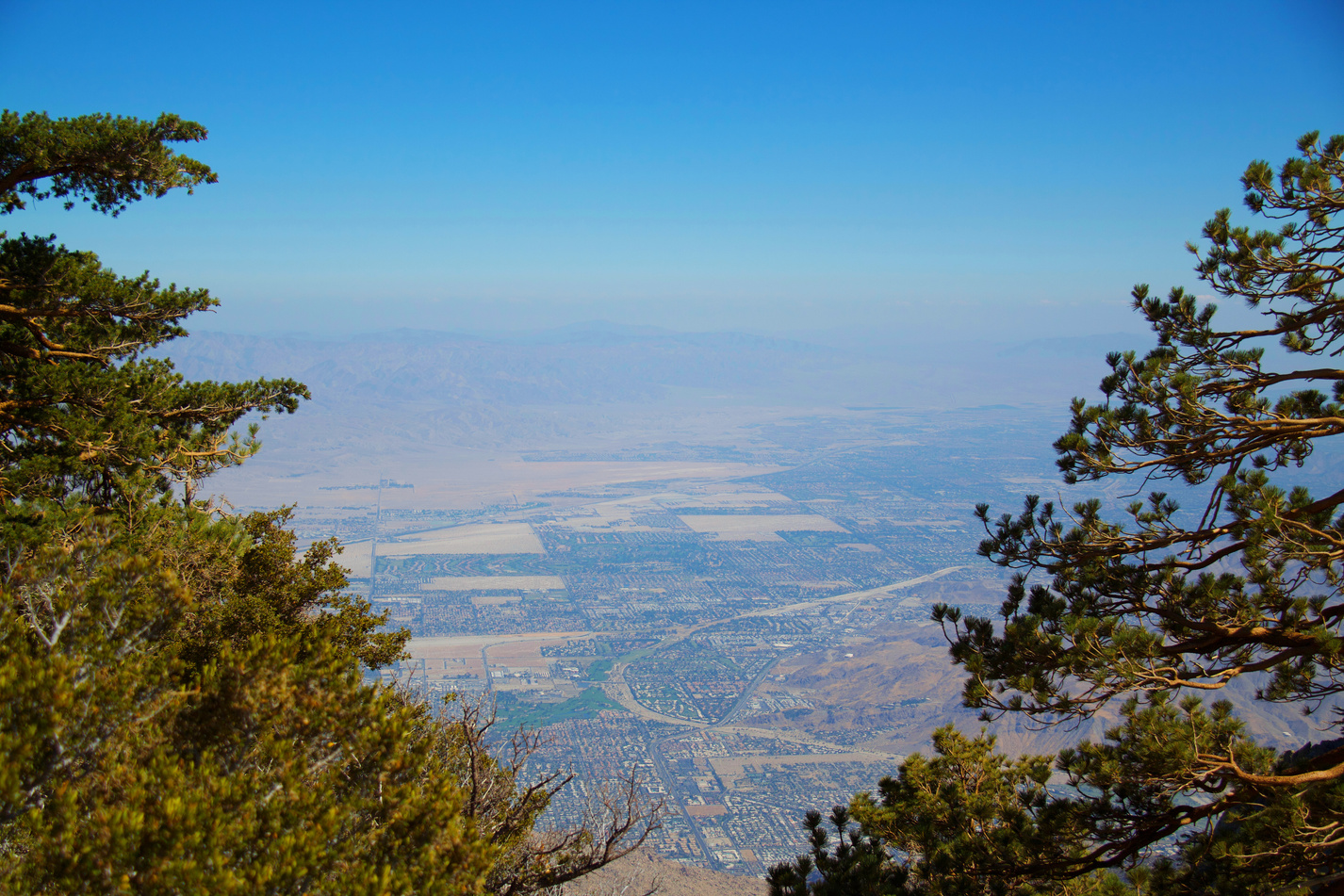 The view from the top of the Palm Springs Aerial Tramway.