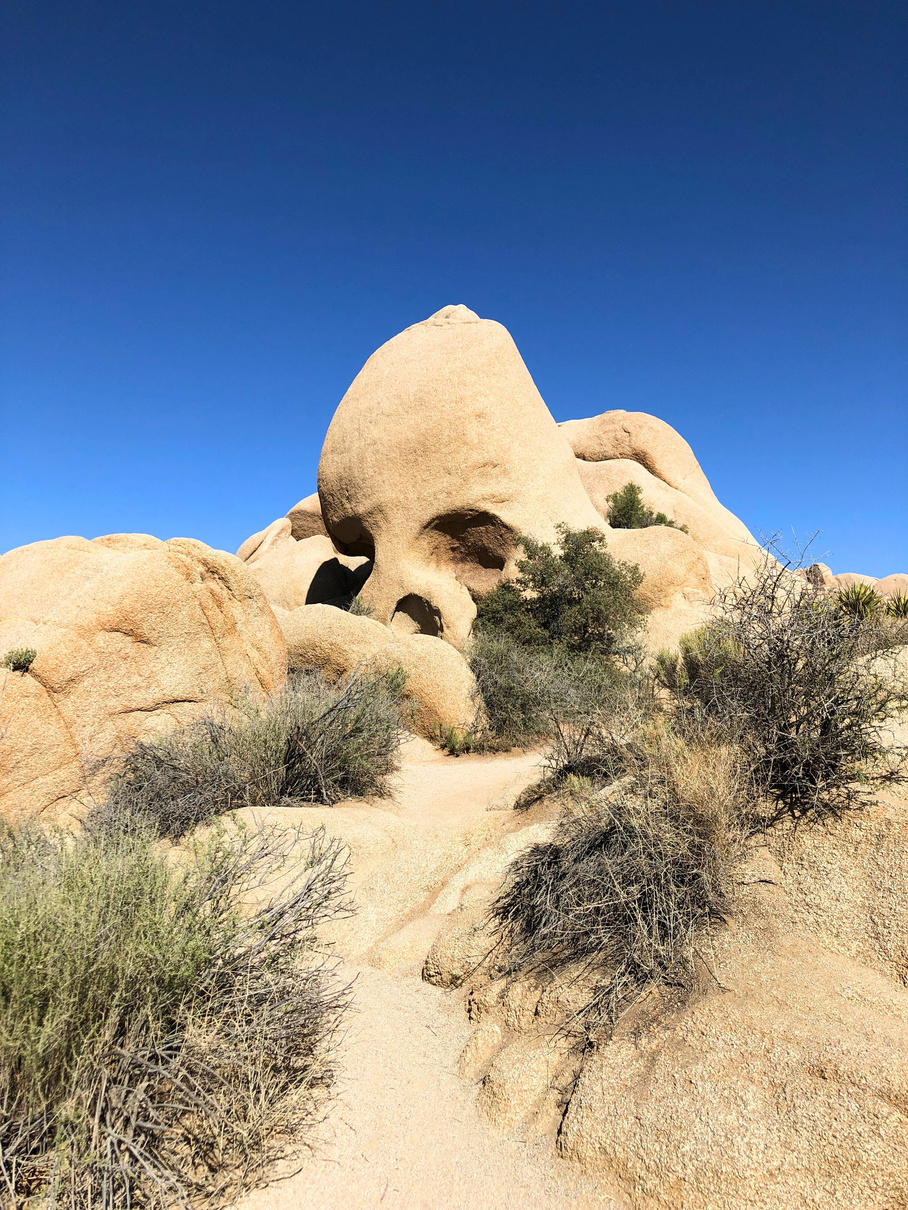 The famous Skull Rock at Joshua Tree National Park.
