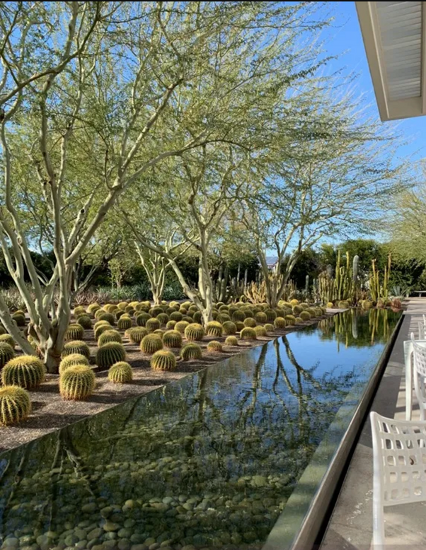The view of cactus gardens and fountains from Sunnylands Cafe in Rancho Mirage.