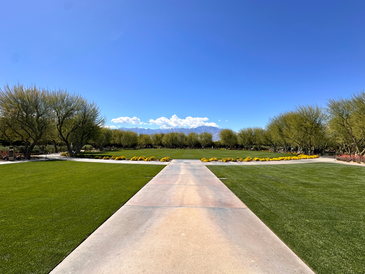 The main lawn area at Sunnylands Center & Gardens in Rancho Mirage.